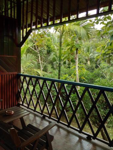 西必洛森林度假村 (Sepilok Jungle Resort) in 山打根 西必洛森林度假村 (Sepilok Jungle Resort) in 山打根