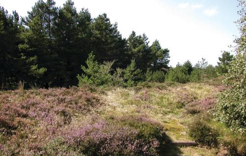 Exterior view, Holiday Home Thadesvej Rømø Iv in Toftum Exterior view, Holiday Home Thadesvej Rømø Iv in Toftum