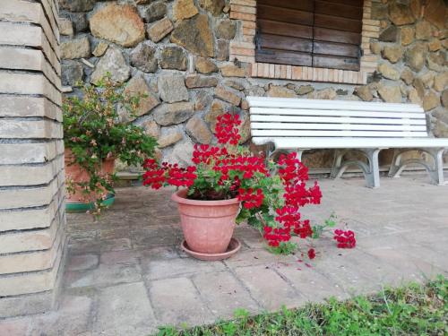 Agriturismo Il Morello in Acquapendente Agriturismo Il Morello in Acquapendente