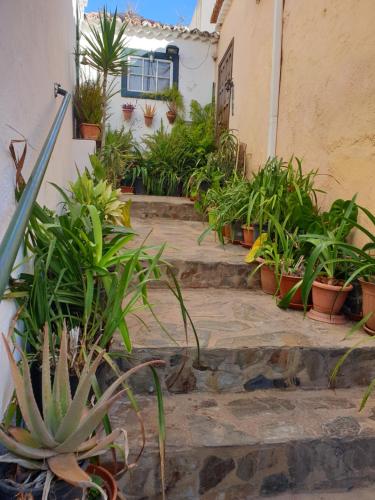 Hotel Argual Apartments