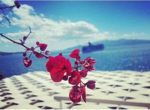 This photo about Hotel Erdano shared on HyHotel.com