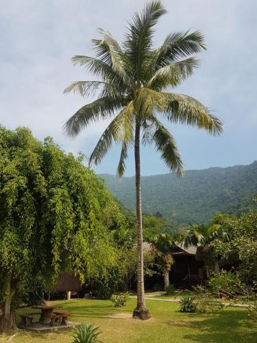 Lattanavongsa guesthouse and Bungalows in Ngojo apygarda Lattanavongsa guesthouse and Bungalows in Ngojo apygarda