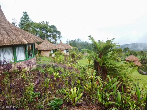 Hôtel New Guinea Natural Tours