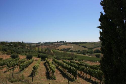 المنطقة المحيطة, Fattoria Le Chianacce in Chianacce المنطقة المحيطة, Fattoria Le Chianacce in Chianacce