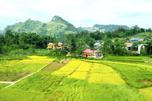 Bac Ha Threeland homestay in Bac Ha (Lao Cai) Bac Ha Threeland homestay in Bac Ha (Lao Cai)
