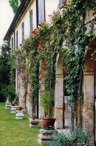 This photo about Corte di Villa Colloredo shared on HyHotel.com