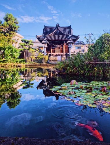 泊まれる図書館 寄処 -yosuga- near Tojamai repülőtér 泊まれる図書館 寄処 -yosuga- near Tojamai repülőtér