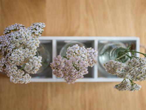 This photo about Apartment PRIVA Alpine Lodge DLX1 shared on HyHotel.com