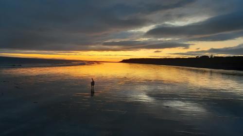 Beach, A Safe Haven in Carlingford Beach, A Safe Haven in Carlingford