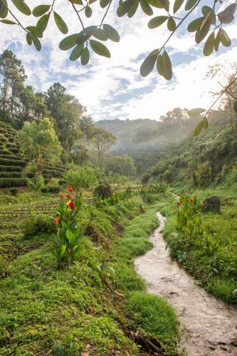 เลาลีฮิลล์รีสอร์ท Laulee hill resort in Mae Suai / Wiang Pa Pao เลาลีฮิลล์รีสอร์ท Laulee hill resort in Mae Suai / Wiang Pa Pao