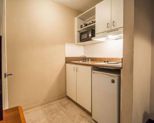 Kitchen, Tampa Bay Extended Stay - Airport in Tampa (FL) Kitchen, Tampa Bay Extended Stay - Airport in Tampa (FL)