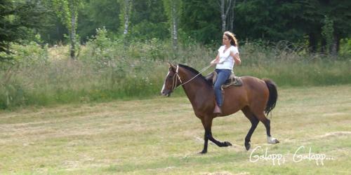 This photo about Hotel Lodge Landhaus San Sebastian shared on HyHotel.com