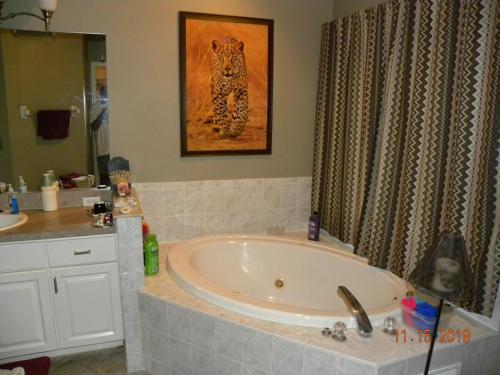 Cozy Master Suite next to Preserve in Bayonet Point (FL) Cozy Master Suite next to Preserve in Bayonet Point (FL)