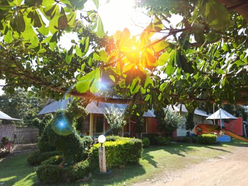 Pai Forest Resort near The Land Split Pai Forest Resort near The Land Split