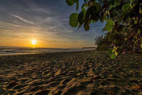 Beach, Cariblue Beach and Jungle Resort in Puerto Viejo de Talamanca Beach, Cariblue Beach and Jungle Resort in Puerto Viejo de Talamanca
