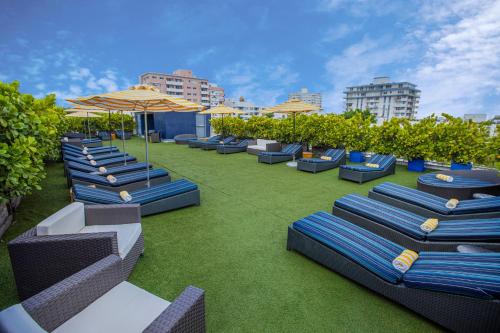 Удобства, Catalina Hotel and Beach Club in Майами-Бич (Флорида) Удобства, Catalina Hotel and Beach Club in Майами-Бич (Флорида)