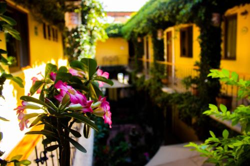 Hotel Dainzu in Oaxaca Hotel Dainzu in Oaxaca