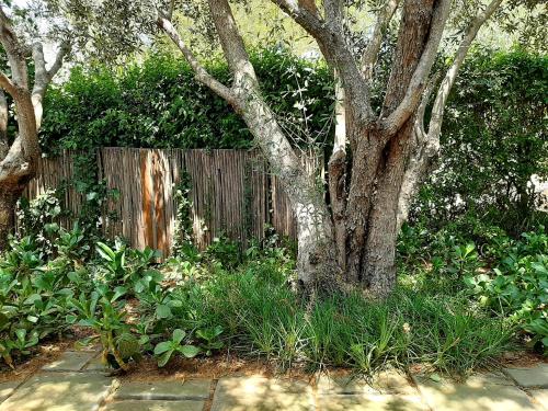 Vrt, Keerweder-cosy cottage in Riebeek-Wes Vrt, Keerweder-cosy cottage in Riebeek-Wes