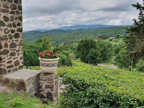 Casas de Raco in Raco Casas de Raco in Raco