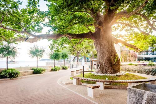 ชายหาด, Villa Adriatic Rooms in มาลินิ ชายหาด, Villa Adriatic Rooms in มาลินิ