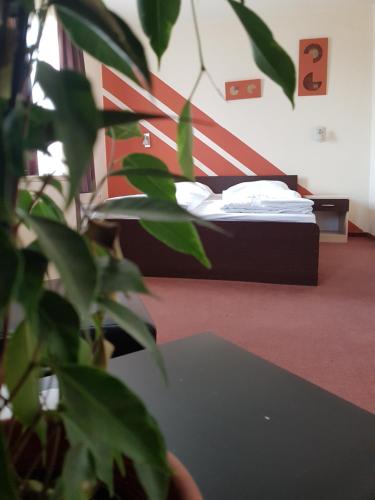 City Hotel Agoston in Tettye City Hotel Agoston in Tettye