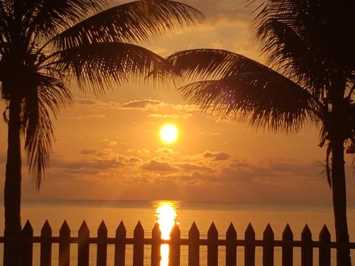 Vistas, Pal's on the beach - Dangriga, Belize in Dangriga Vistas, Pal's on the beach - Dangriga, Belize in Dangriga