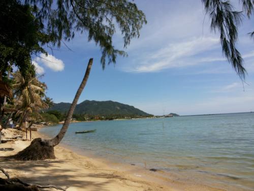 Beach, ABC Bungalow in Ko Pha-ngan Beach, ABC Bungalow in Ko Pha-ngan