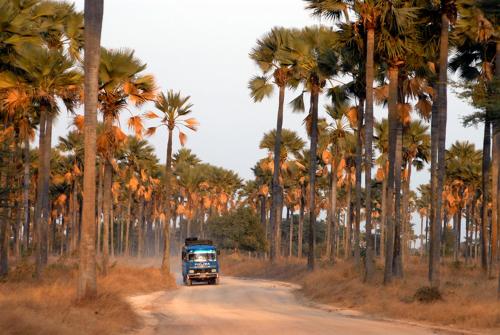 נוף חוץ, Villa Ndangane in נדנגנה נוף חוץ, Villa Ndangane in נדנגנה