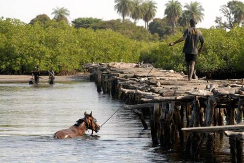 נוף חוץ, Villa Ndangane in נדנגנה נוף חוץ, Villa Ndangane in נדנגנה