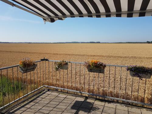 Vakantiewoning Akkerrand Kamperland in Kamperland Vakantiewoning Akkerrand Kamperland in Kamperland