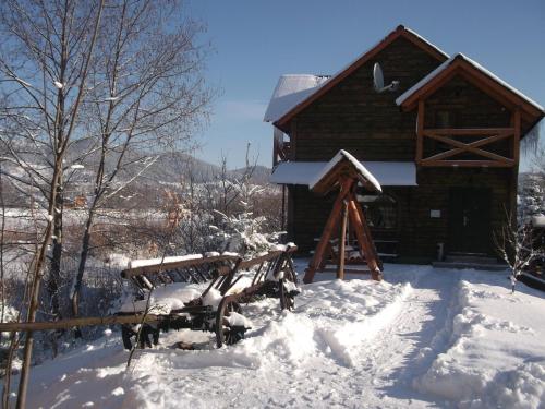 This photo about Bozhena shared on HyHotel.com