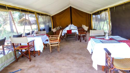 Serengeti Savannah Camps in Ngorongoro Serengeti Savannah Camps in Ngorongoro