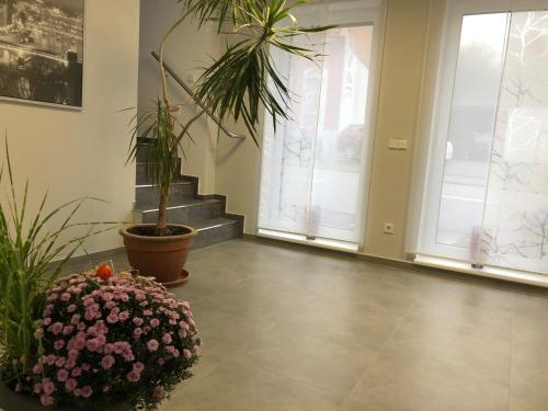 Lobby, Gastehaus Residenz Aurora in Friedrichsthal Lobby, Gastehaus Residenz Aurora in Friedrichsthal