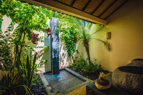 دش, Minabali Bunga'lo in تولامبن دش, Minabali Bunga'lo in تولامبن