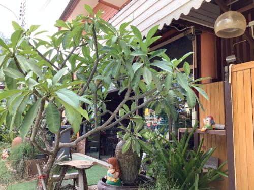 フロント ビーチ ホテル (Front Beach Hotel) in プランブリー フロント ビーチ ホテル (Front Beach Hotel) in プランブリー
