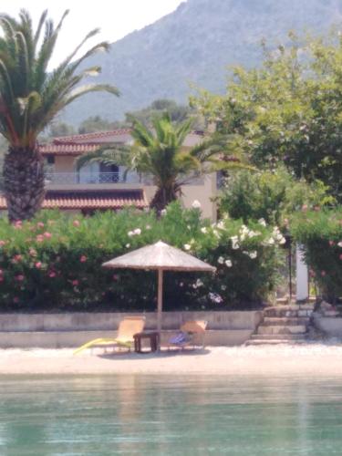 Beach, Villa Porto Matzavino in Vonitsa Beach, Villa Porto Matzavino in Vonitsa