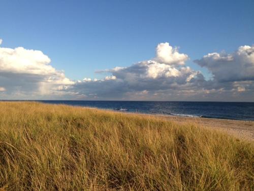 This photo about Ocean Vista Resort shared on HyHotel.com