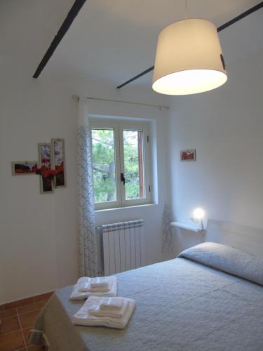 Guestroom, il pettirosso in Altino Guestroom, il pettirosso in Altino