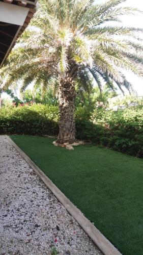 Hibiscus Beach House 2
Hibiscus Beach House 2