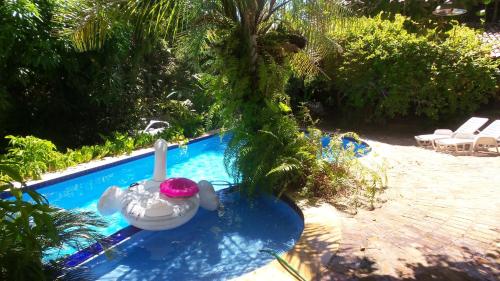 Swimming pool, Zazen Pousada by Santoregano in Garca Torta Swimming pool, Zazen Pousada by Santoregano in Garca Torta