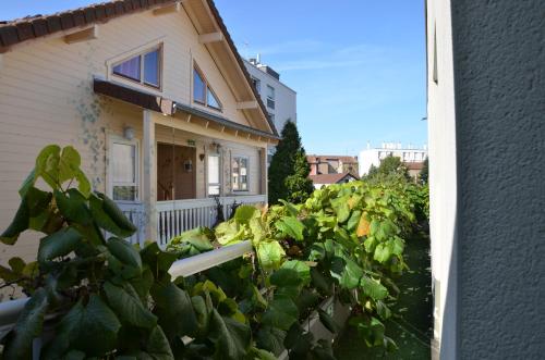 Appart' Studio in Chalon-sur-Saone Appart' Studio in Chalon-sur-Saone