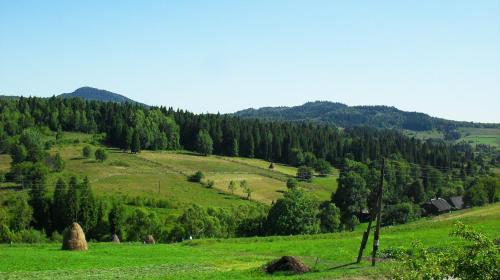 Полонянка in Oryavchyk Полонянка in Oryavchyk