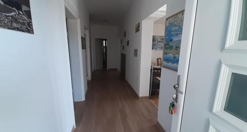 Intrare, Apartments Villa Ravlić (Apartments Villa Ravlic) in Makarska Intrare, Apartments Villa Ravlić (Apartments Villa Ravlic) in Makarska