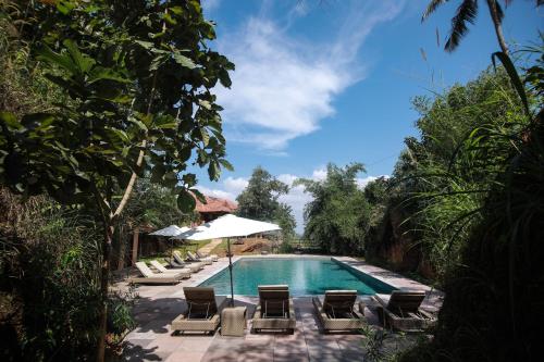 泳池, 阿馬拉阿育吠陀度假村 (Amara Ayurveda Retreat) in 科瓦蘭 泳池, 阿馬拉阿育吠陀度假村 (Amara Ayurveda Retreat) in 科瓦蘭