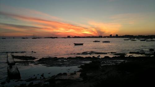 Civico 58 
Civico 58