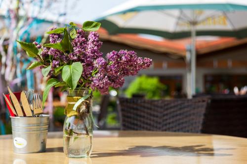 Ferienwohnungen Landgasthaus Janshen in Ellscheid Ferienwohnungen Landgasthaus Janshen in Ellscheid