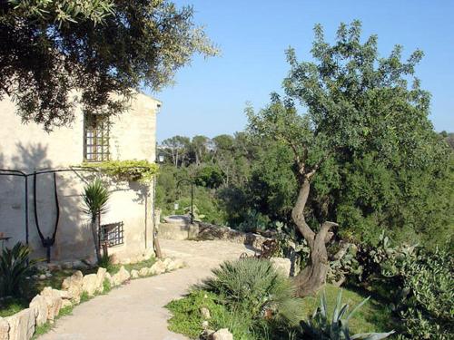 This photo about Agroturisme Son Torrat shared on HyHotel.com