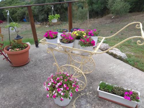 Country House at Alexandroupoli (Dikella) in Komotini Country House at Alexandroupoli (Dikella) in Komotini