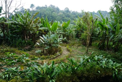 Exterior view, Eco-Logic, Resort for Charity in Phato Exterior view, Eco-Logic, Resort for Charity in Phato