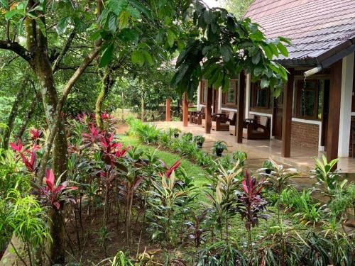 View, Rumah Joglo Casual Hotel in Ciampea View, Rumah Joglo Casual Hotel in Ciampea